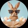 bunnyandmee